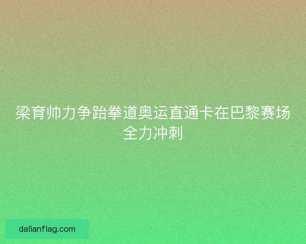 梁育帅力争跆拳道奥运直通卡在巴黎赛场全力冲刺 梁育帅力争跆拳道奥运直通卡在巴黎赛场全力冲刺