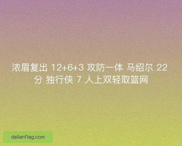 浓眉复出 12+6+3 攻防一体 马绍尔 22 分 独行侠 7 人上双轻取篮网