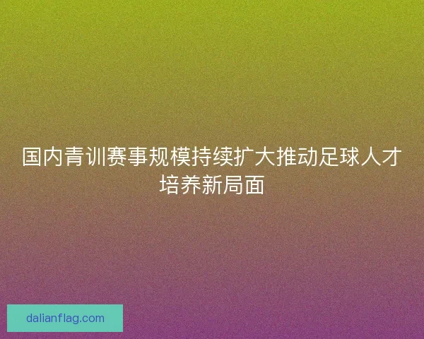 国内青训赛事规模持续扩大推动足球人才培养新局面 国内青训赛事规模持续扩大推动足球人才培养新局面